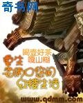 《重生老倆口悠閒紅樓生活》