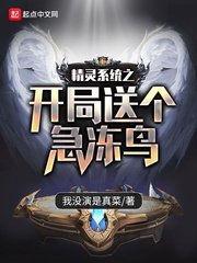 《精靈系統之開局送個急凍鳥》
