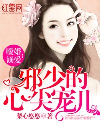 暖婚溺愛:邪少的心尖寵兒