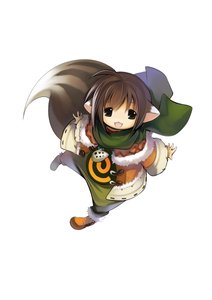 《賭石師(獸人)》