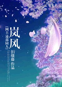 《(網王+花樣同人)嵐風》