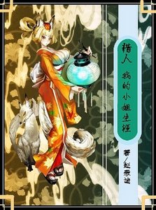 《(獵人同人)我的小姐生涯》