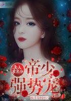 帝少強勢寵：夫人，求名分