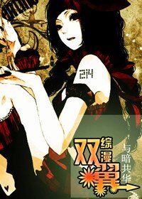 (綜漫同人)雙翼