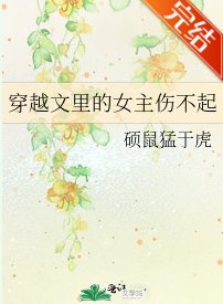 穿越文裡的女主傷不起