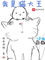 《我是貓大王》