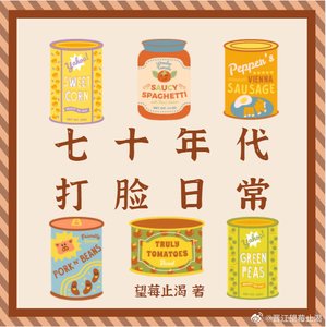 《七十年代打臉日常》