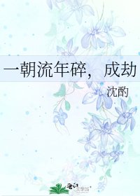 一朝流年碎，成劫