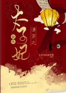 《清穿之貓性太子妃》