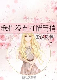 《我們沒有打情罵俏》