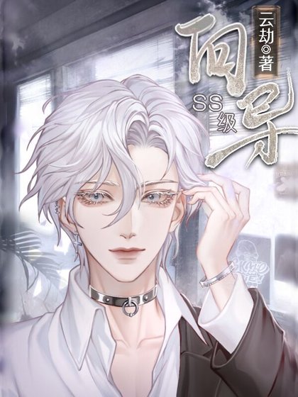 SS級嚮導