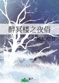 《醉冥樓之夜俗》