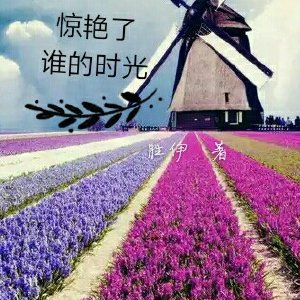 《驚豔了誰的時光》