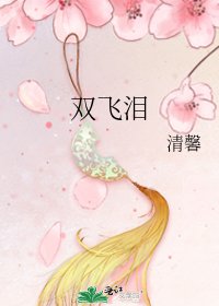 《雙飛淚》