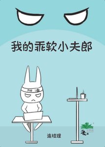 《我的乖軟小夫郎》