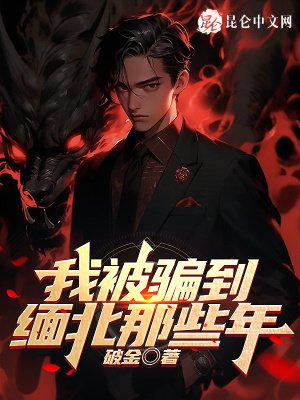 《我被騙到緬北的那些年》