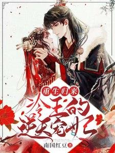 重生歸來：冷王的逆天寵妃