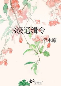 《S級通緝令》