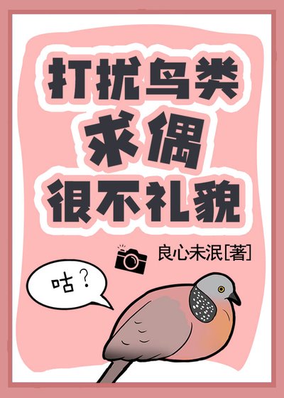 打擾鳥類求偶很不禮貌！