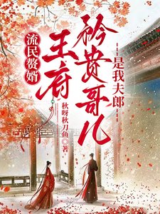 流民贅婿：王府矜貴哥兒是我夫郎